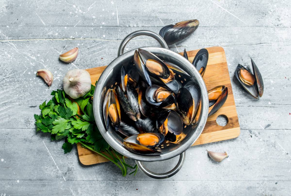 Les moules de Filières Label Rouge : producteurs de moules de qualité