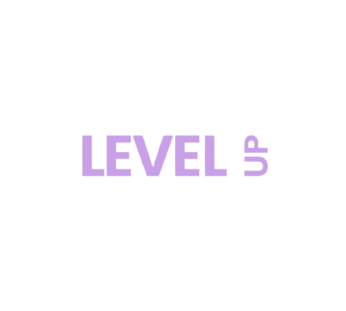 Level up - L'agence SEO des entrepeneurs audacieux