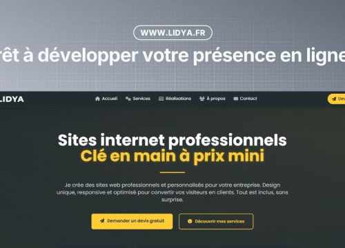 Présentation de Lidya.fr
