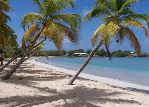location de voiture en Martinique