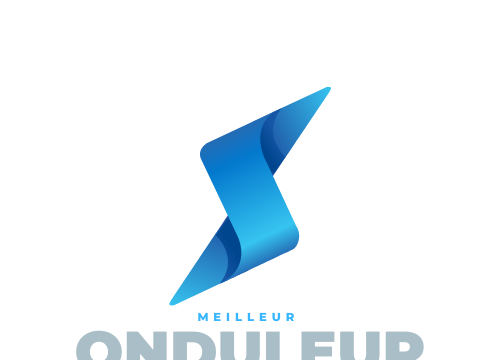 Meilleur Onduleur