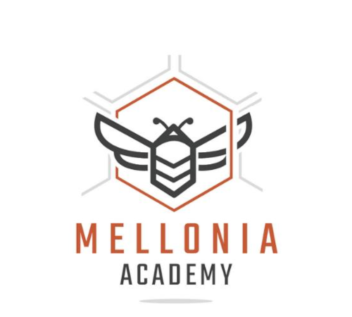 Mellonia Academy - Ecole digitale formation immobilier