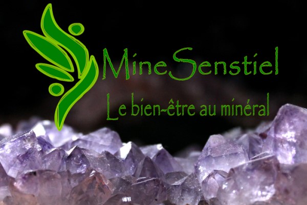 logo MineSenstiel