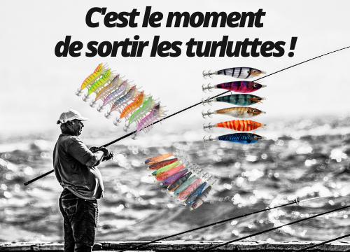 Mister Fisher, la boutique en ligne de pêche