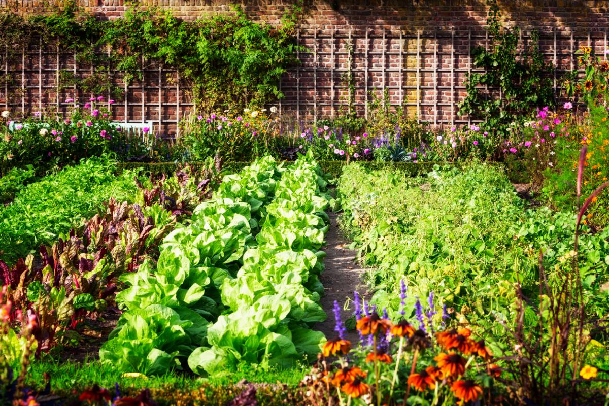 Mon Inspiration Jardin