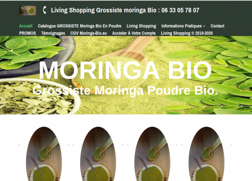 Vente en ligne de moringa bio de qualité en provenance d'Afrique