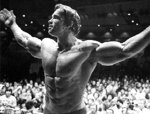 arnold mister olympia