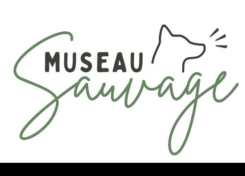 Logo Museau Sauvage