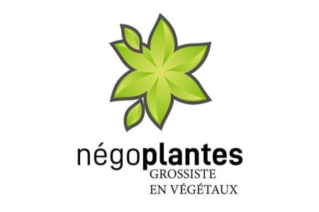 Négoplantes, grossiste en végétaux