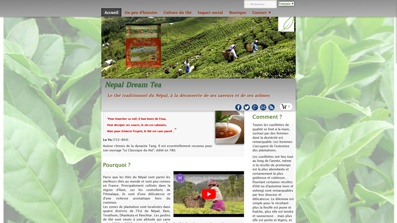 Nepal dream tea