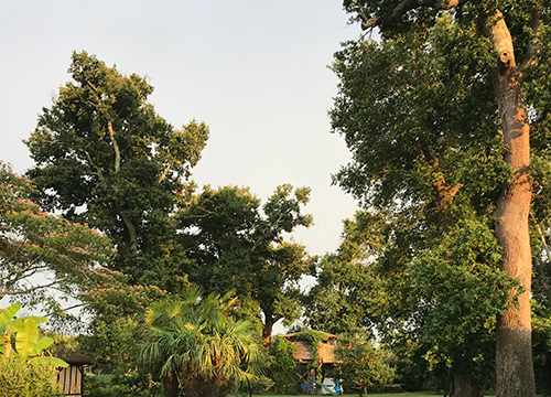 Natural Surf Lodge - Surf Camp dans les Landes