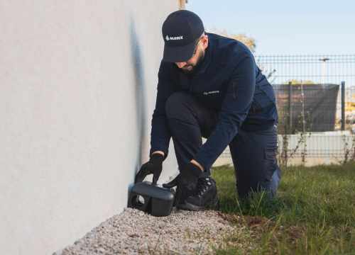 Nuisix Toulon | Experts anti-nuisibles