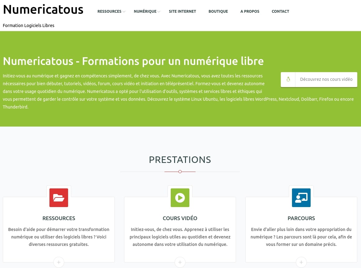 Numericatous