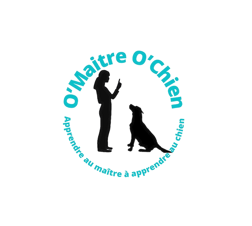O'Maitre O'Chien – Educateur et comportementaliste canin