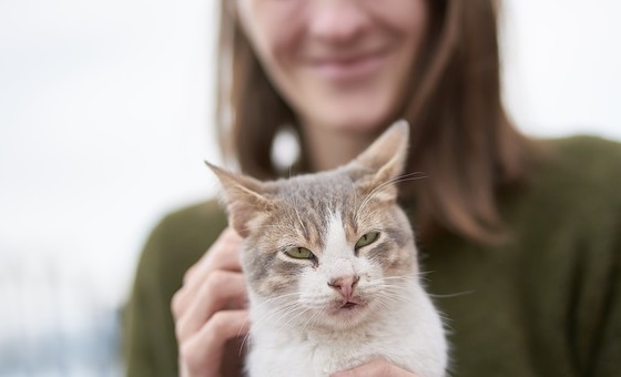 Garde d'animaux gratuite entre particuliers
