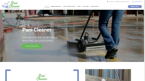 PANI CLEANER