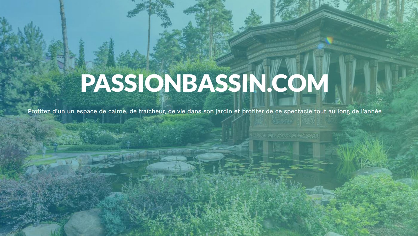 Le site passion bassin