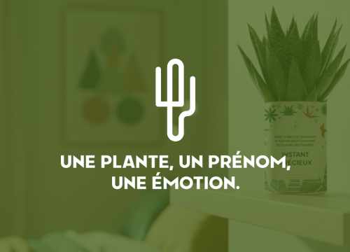 Plante personnalisée