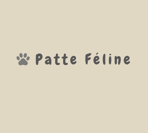 site dédié au Maine Coon