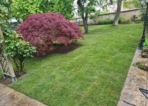 Paysager Son Jardin : paysagiste à Nancy et Meurthe et Moselle