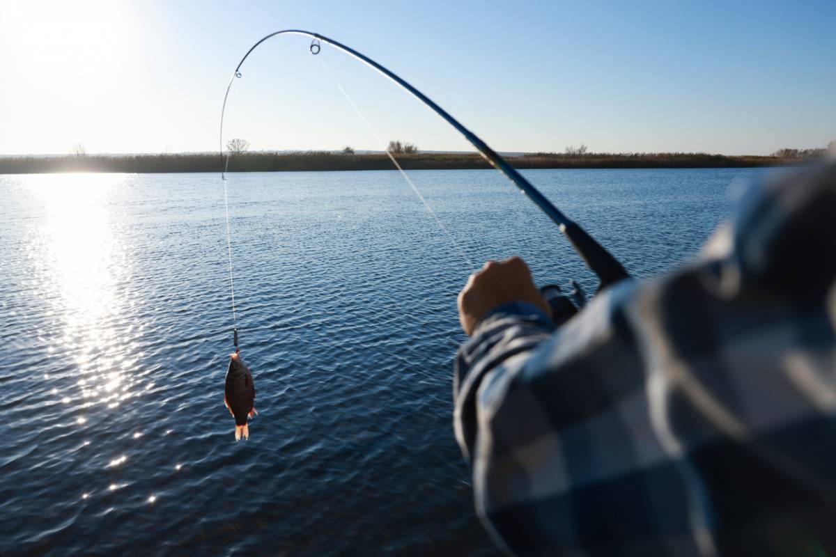 Pêche en Mer Passion