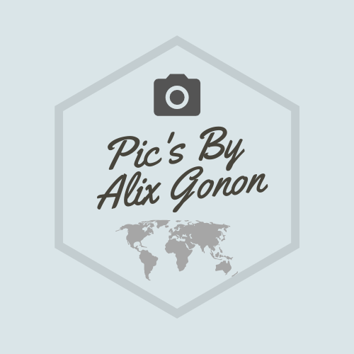 Logo du site picsbyalixgonon 
