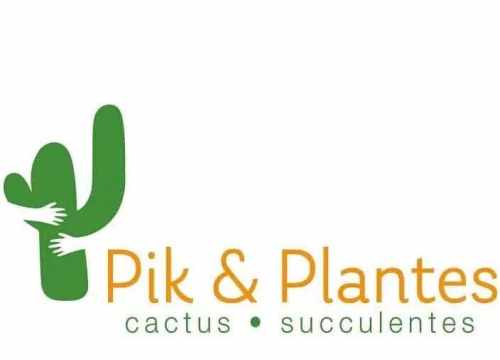 Logo Pik et Plantes