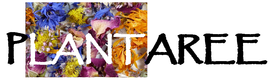logo plantaree