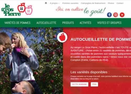 Le Gros Pierre cueillette de pommes