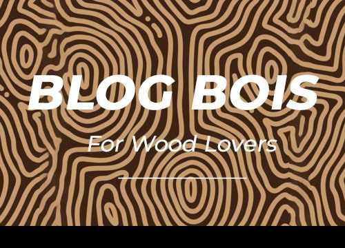 Blog Bois