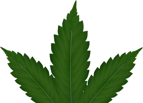 Pretty Shop : le site 100% CBD