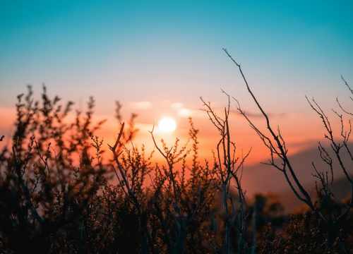 photo d'un coucher de soleil