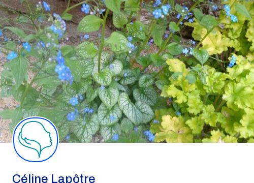 vignette Céline Lapôtre