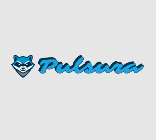 Logo de l'entreprise Pulsura, logiciel de gestion et marketing tout en un pour stations de lavage automobiles et ateliers de detailing 