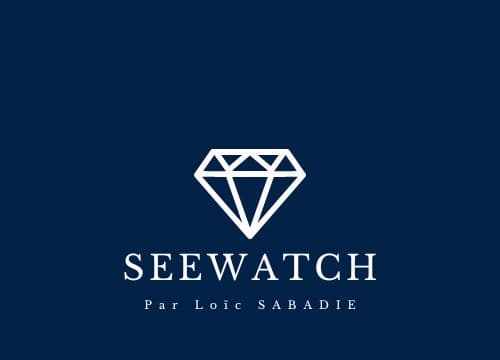 Logo Seewatch