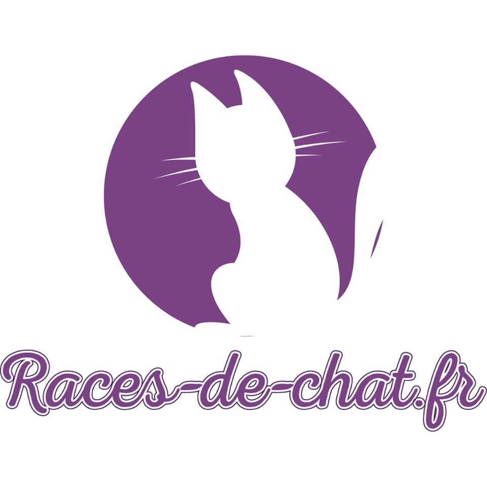 races-de-chat