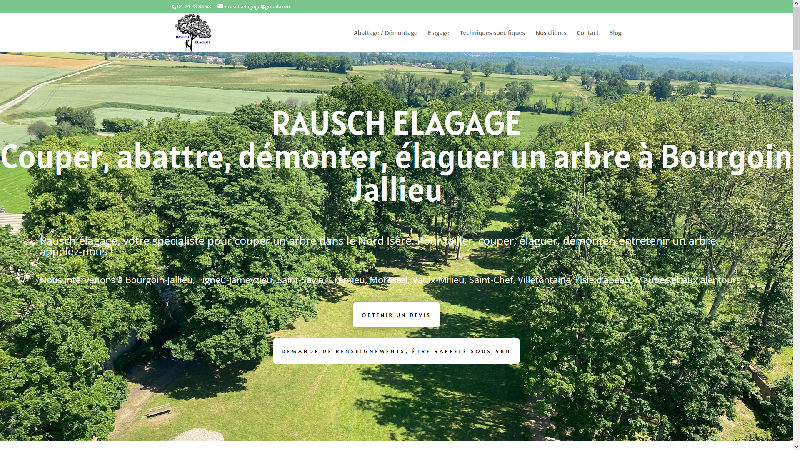Rausch Elagage, votre spécialiste de la coupe d'arbre
