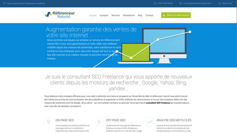 Référenceur naturel - Consultant seo freelance France