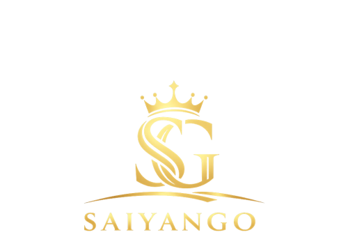 Saiyan Go chauffeur Privée à Lille et dans les Hauts-de-France
