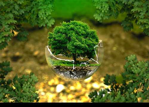 Sante globale