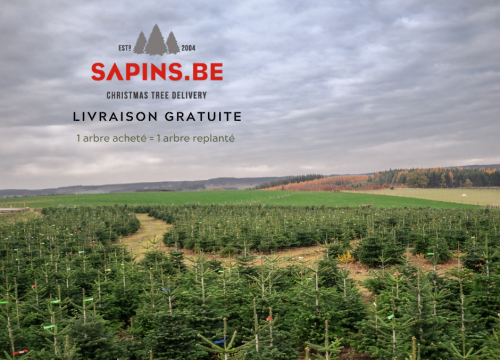 Sapins.be