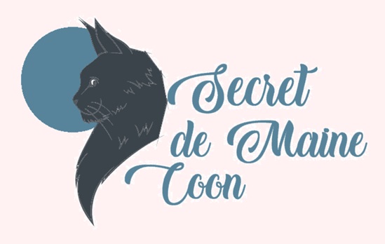 Secret de Maine Coon