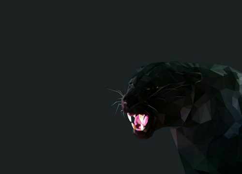 BlackCatSEO lyon