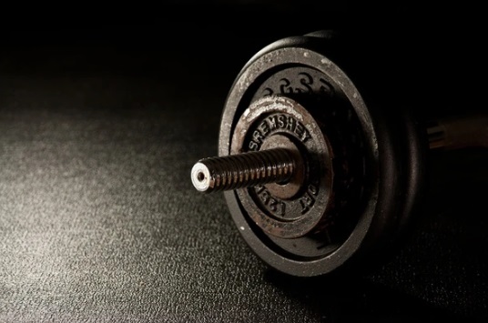  musculation