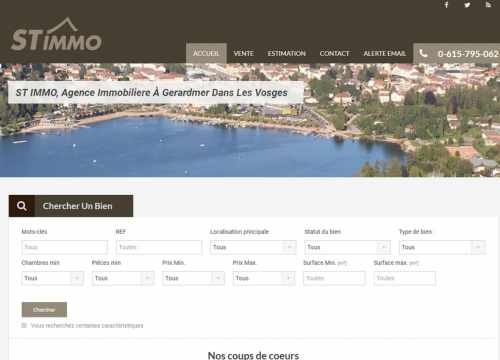 agence immobiliere vosges