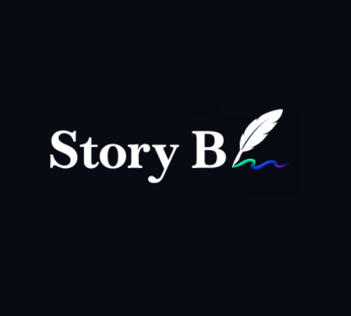 story b, agence wordpress bordeaux