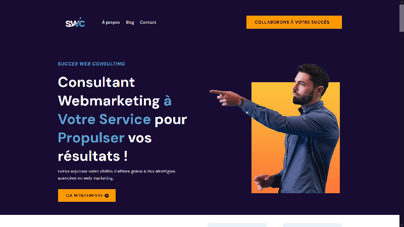 Succes Web Consulting