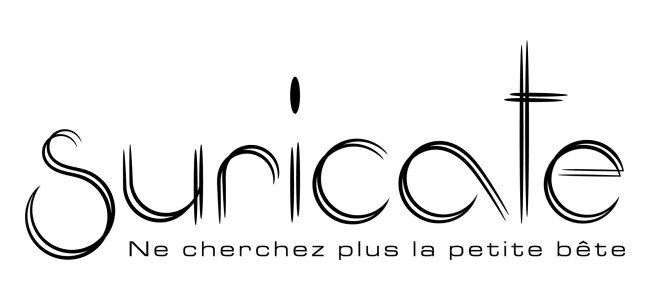 Suricate Studio - Design Graphique et Web