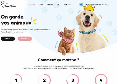Sweet Paw : Cat sitter Reims