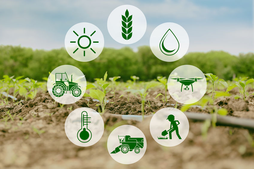 Terres et territoires pour l'actualité agricole
